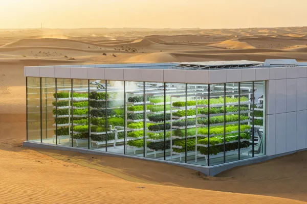 Climate-controlled vertical farm facility in Dubai with exterior desert landscape and interior green growing racks
